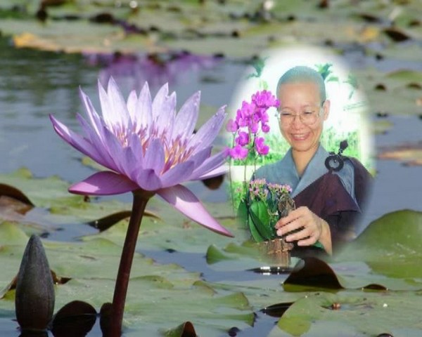 道证法师法相